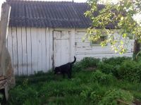 Лот: 9844050. Фото: 7. Дом в деревне Мана