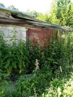 Лот: 23305273. Фото: 3. Земельный участок СНТ Акварель. Недвижимость