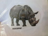 Лот: 23493398. Фото: 6. Развивающие карточки для детей