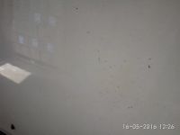 Лот: 7619198. Фото: 2. Капот corona 170 зубатка. Автозапчасти