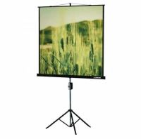 Лот: 23308178. Фото: 6. Экран для проектора Lumien Master...