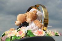 Лот: 3960101. Фото: 11. Украшение для Свадебной машины...