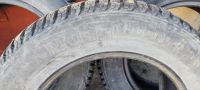 Лот: 22393446. Фото: 6. Зимние шипованные шины Amtel Nordmaster...