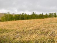 Лот: 25719346. Фото: 12. участок , садоводческое некоммерческое...