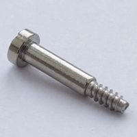 Лот: 13127660. Фото: 2. Стальной винт винтик болт болтик... Часы, аксессуары