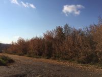 Лот: 4679016. Фото: 2. Продам участок 30 сот. ИЖС. Продажа