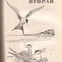 Лот: 12730500. Фото: 4. Джеральд Даррелл – Моя семья и... Красноярск