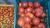 Лот: 7986597. Фото: 2. помидоры свои , для еды или засолки... Продукты