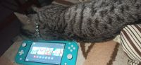 Лот: 23452042. Фото: 2. Nintendo Switch lite (прошита). Игровые приставки, консоли, видеоигры
