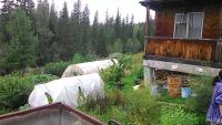 Лот: 8043533. Фото: 2. Дача М.Кускун. Продажа