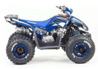 Лот: 25659396. Фото: 7. Квадроцикл MOTOLAND 125 Coyote...