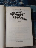 Лот: 24770530. Фото: 2. Валентин Катаев Белеет парус одинокий. Детям и родителям