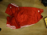 Лот: 5183984. Фото: 4. Боксерки Everlast оригинальные... Красноярск