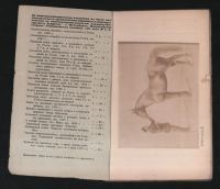Лот: 17249209. Фото: 2. Журнал коннозаводства № 2, февраль... Антиквариат