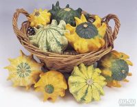 Лот: 12962543. Фото: 3. Семена тыквы декоративной "Шахерезада... Для дачи, дома, огорода, бани, парка