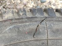 Лот: 17570196. Фото: 2. Шины Кама Flame 205/70 R16. Шины, Диски