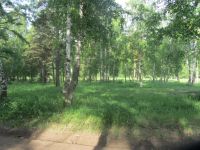 Лот: 8124148. Фото: 5. Кузнецовское Плато Участок с Лесом
