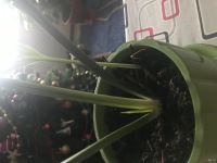 Лот: 12080096. Фото: 5. Эухарис с деткой