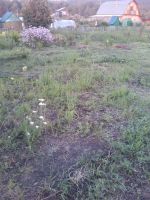 Лот: 11963113. Фото: 4. Участок Таскино(Круглогодичный... Красноярск