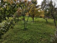 Лот: 25810523. Фото: 4. участок , садоводческое некоммерческое... Красноярск