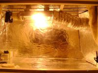 Лот: 759231. Фото: 2. Установка ДНАТ 250W. Комнатные растения и уход