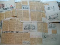 Лот: 5297134. Фото: 5. Поход ..Челюскина..