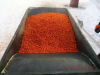 Лот: 7959701. Фото: 2. Облепиха. Продукты