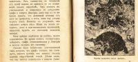 Лот: 19854026. Фото: 14. Пути жизни.Рассказы М.А.Лялиной...