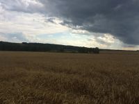 Лот: 6009903. Фото: 2. Пай (10 гектар). Продажа