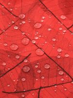 Лот: 22413615. Фото: 10. Комбинезон детский JAM MIX, Красный