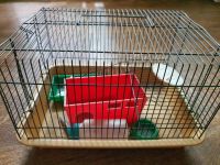 Лот: 20564863. Фото: 3. Клетка для грызунов.+🎁 зонт. Растения и животные