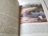 Лот: 19424914. Фото: 6. Стингл М. Тайны индейских пирамид...