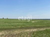 Лот: 25294634. Фото: 2. участок , деревня Погорелка деревня... Продажа