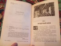 Лот: 21119012. Фото: 3. серия Секретные файлы Василий... Литература, книги