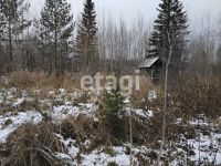 Лот: 25299291. Фото: 2. 1-комн. дача , садоводческое некоммерческое... Продажа