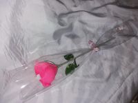 Лот: 13396293. Фото: 2. роза с конфетой есть готовая. Цветы, букеты