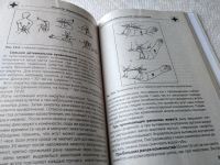 Лот: 17777526. Фото: 7. ок (01..01) Игорь Молодан "Автономное...