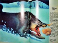 Лот: 9471746. Фото: 7. "Боги и Богини" Мифы и легенды...