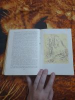 Лот: 25514772. Фото: 5. Книга античные романы