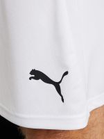 Лот: 24840606. Фото: 5. Шорты мужские PUMA teamLIGA, Белый