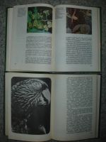 Лот: 5215765. Фото: 4. Мир растений и животных. Две книги... Красноярск
