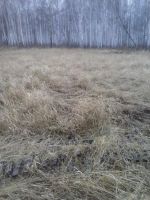 Лот: 5294803. Фото: 3. Земельный участок. Недвижимость