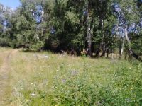 Лот: 7517386. Фото: 5. Земельные участки в Берёзовском...