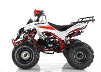 Лот: 25659259. Фото: 3. Квадроцикл MOTAX ATV Raptor Super... Авто, мото, водный транспорт