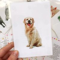Лот: 17168676. Фото: 5. Карточки потешки | Развивающие...