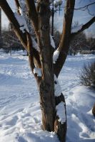 Лот: 9273559. Фото: 3. Canon ef 17-40L. С рубля. Красноярск