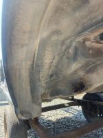 Лот: 25436776. Фото: 7. крыло Nissan Almera Classic B10