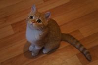 Лот: 3244759. Фото: 4. Девочка скоттиш страйт. Красноярск