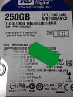 Лот: 17847559. Фото: 2. Жесткий диск HDD 250gb WD (WD2500AAKX... Комплектующие