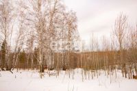 Лот: 25294810. Фото: 10. участок , ДНТ Чёрная Сопка ДНТ...